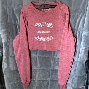NWOT Crop Top Sweater